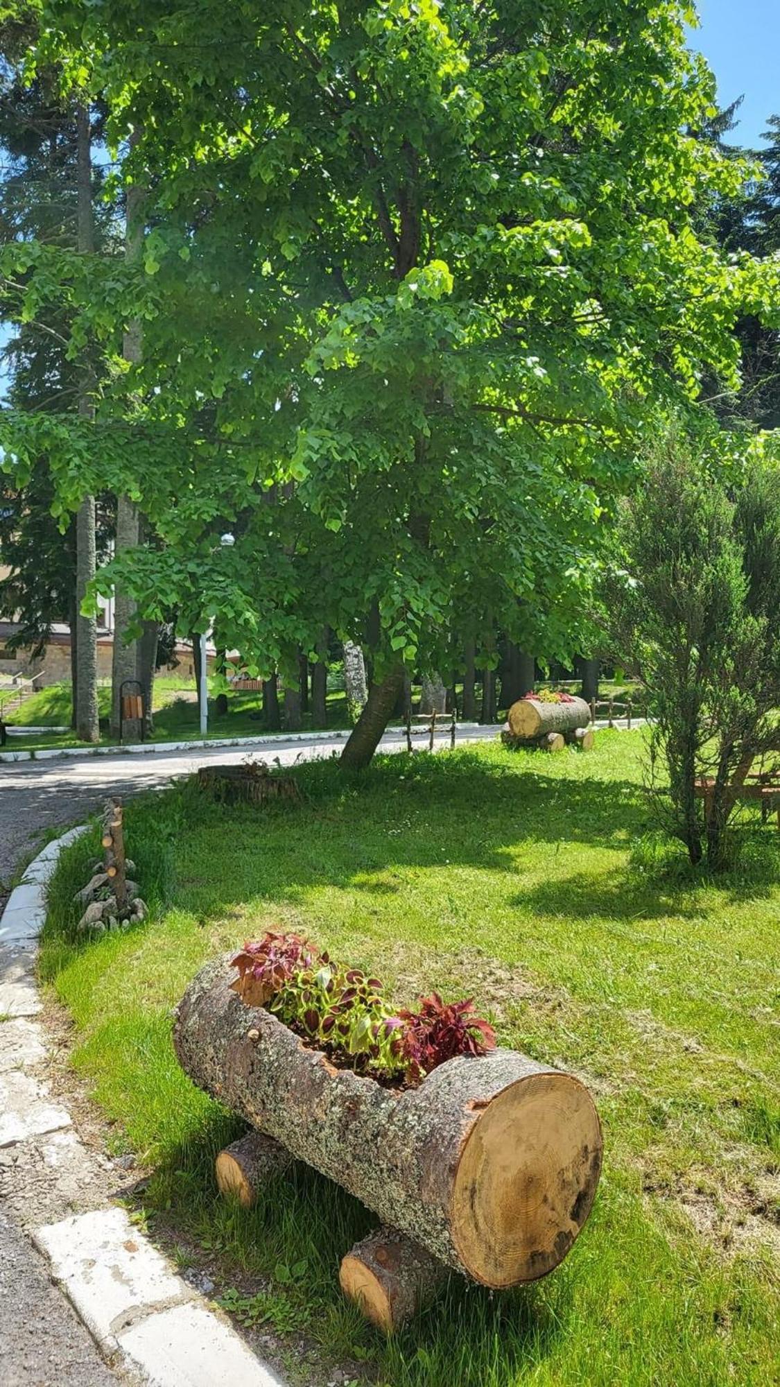 Pm Services Borovets Garden Apartments Eksteriør bilde